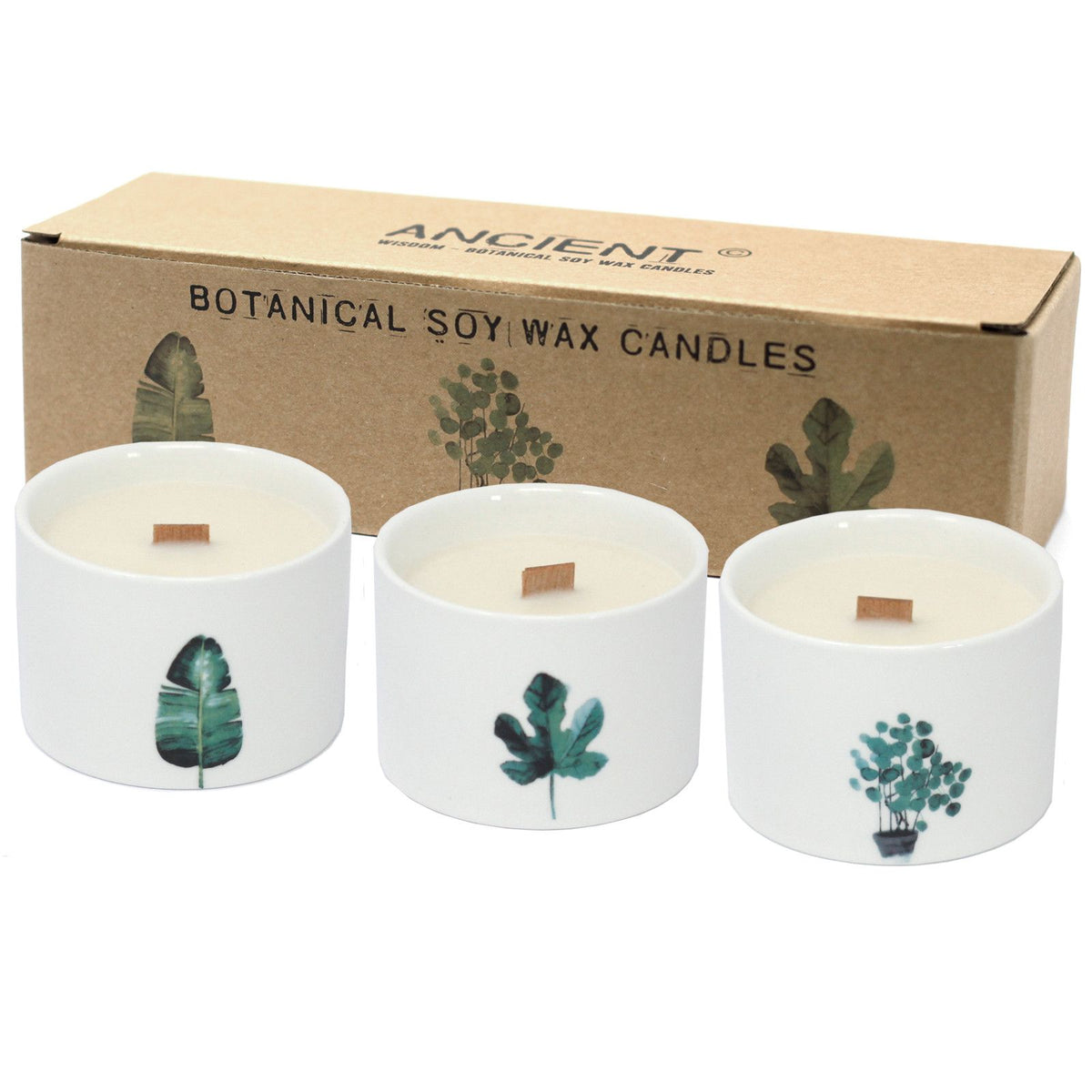 Medium Botanical Ceramic Candle - Japanese Garden