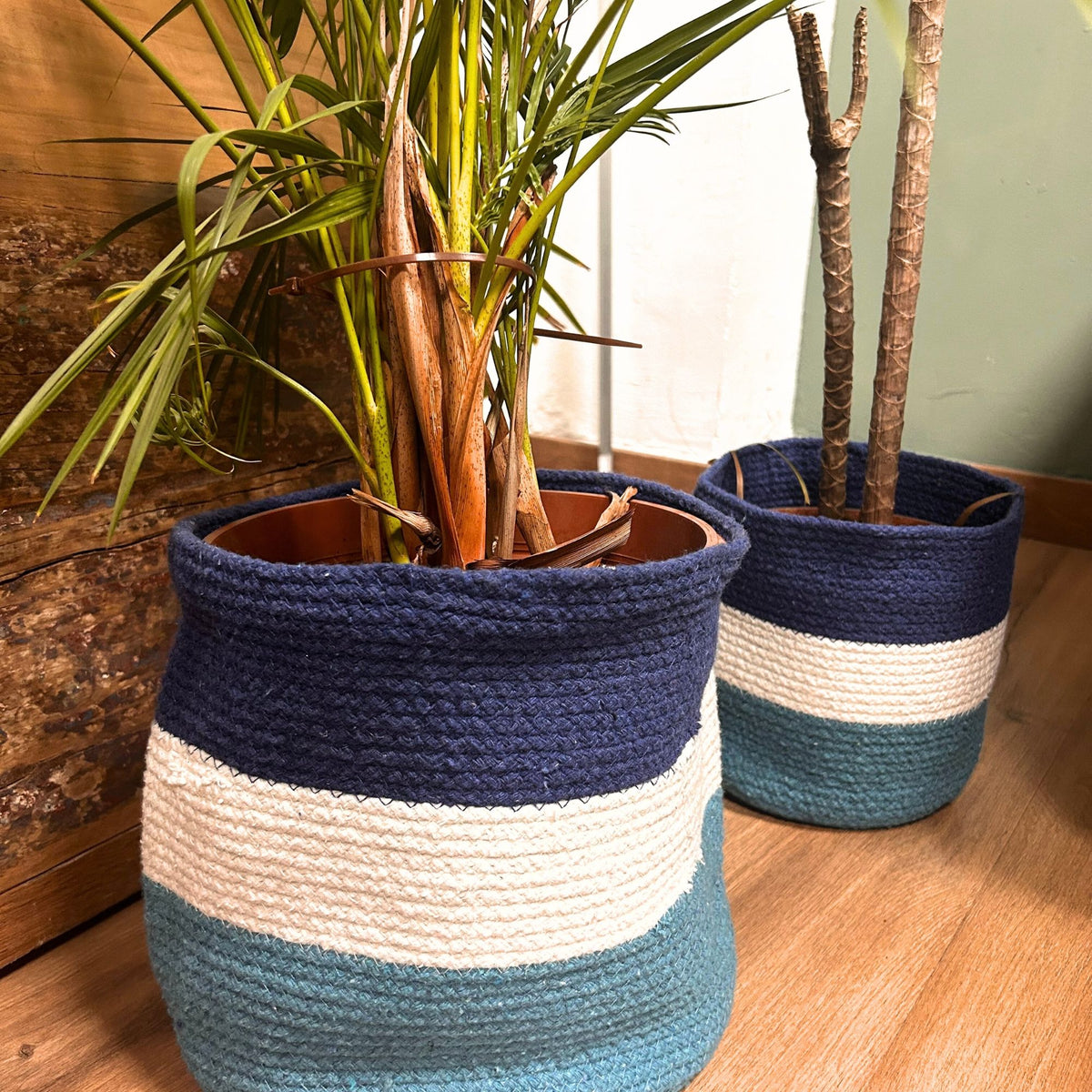Watchful Eye Jute-Rope Basket Trio
